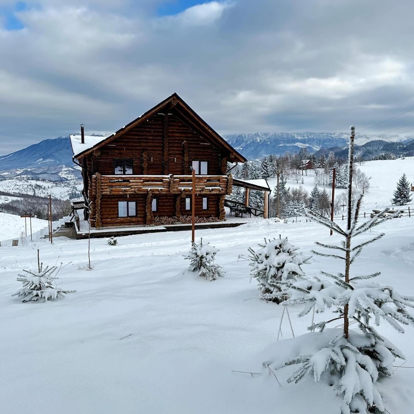 فيلا The Barn Şirnea المظهر الخارجي الصورة